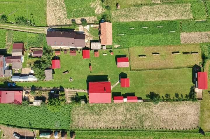 Отель Casa Prundari Nicu Si Mirela Poiana Teiului Экстерьер фото