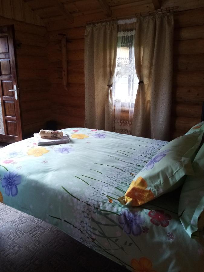 Отель Casa Prundari Nicu Si Mirela Poiana Teiului Экстерьер фото