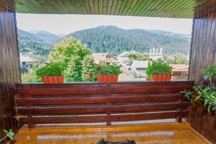 Отель Casa Prundari Nicu Si Mirela Poiana Teiului Экстерьер фото