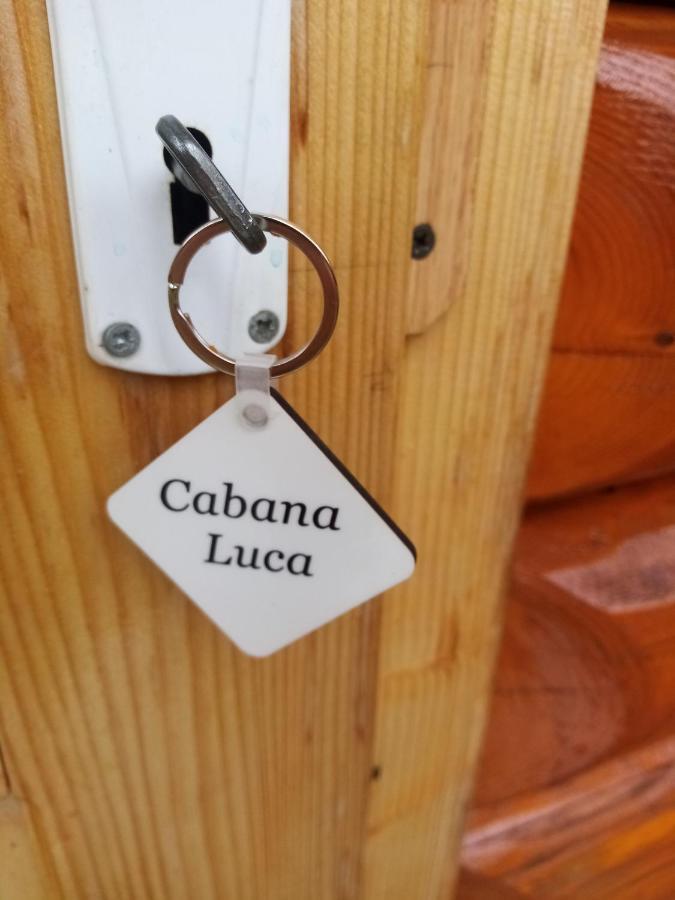 Отель Casa Prundari Nicu Si Mirela Poiana Teiului Экстерьер фото