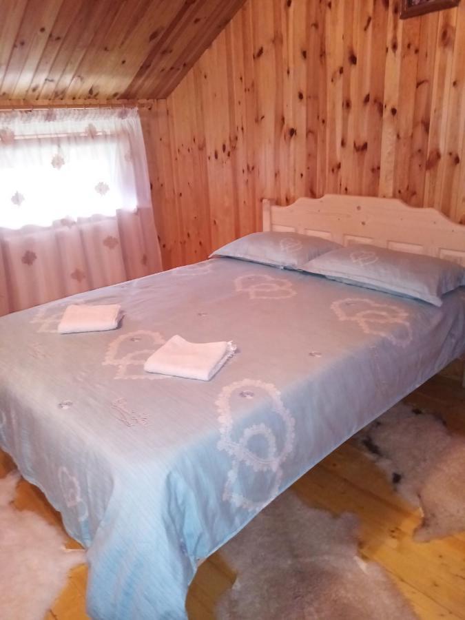 Отель Casa Prundari Nicu Si Mirela Poiana Teiului Экстерьер фото