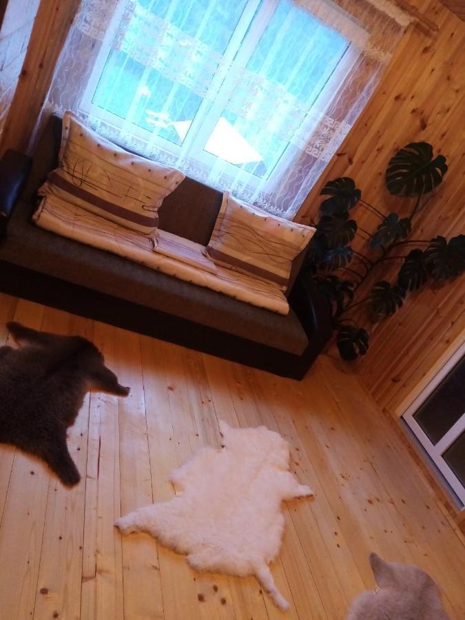 Отель Casa Prundari Nicu Si Mirela Poiana Teiului Номер фото