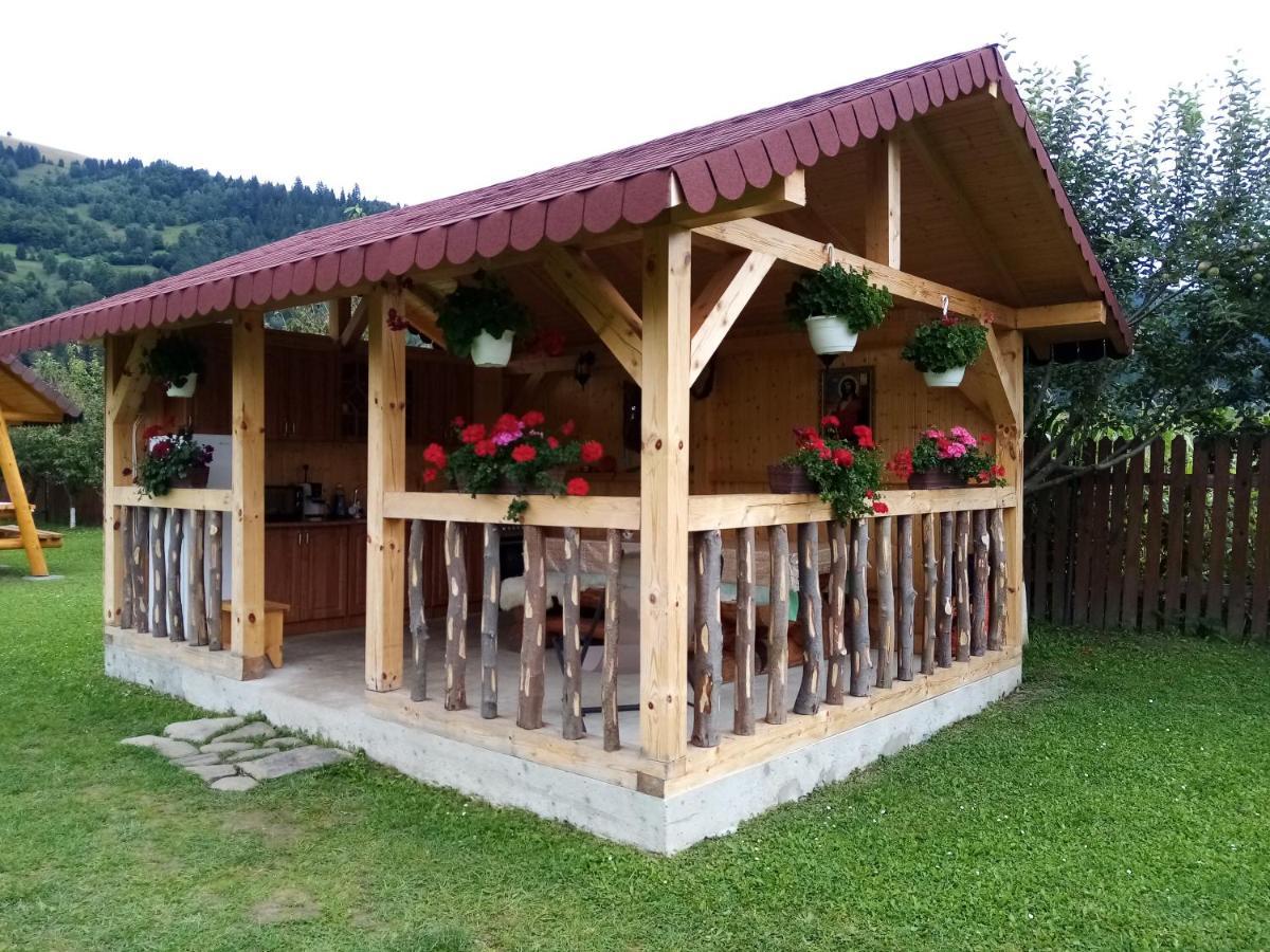 Отель Casa Prundari Nicu Si Mirela Poiana Teiului Экстерьер фото