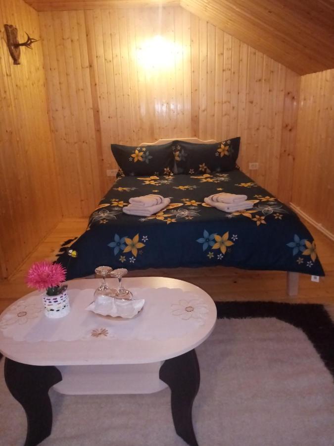 Отель Casa Prundari Nicu Si Mirela Poiana Teiului Экстерьер фото