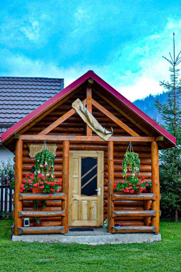 Отель Casa Prundari Nicu Si Mirela Poiana Teiului Экстерьер фото