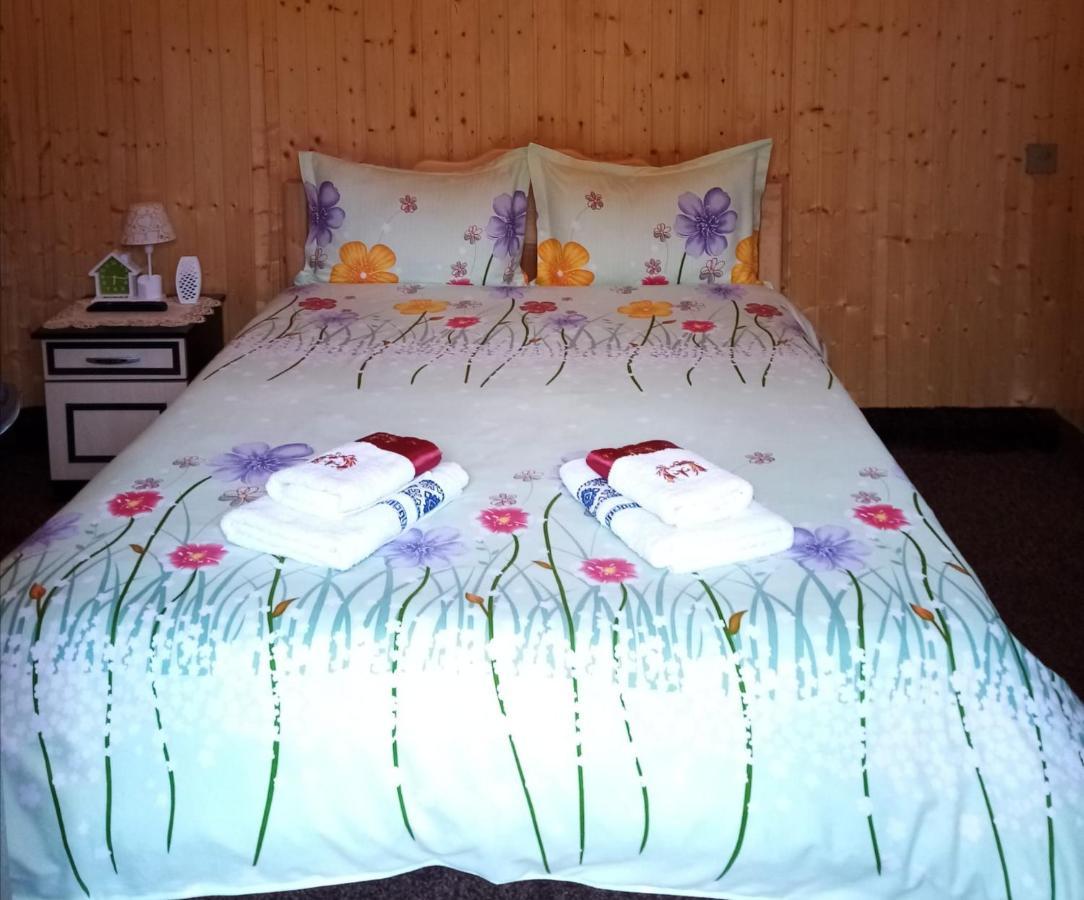 Отель Casa Prundari Nicu Si Mirela Poiana Teiului Экстерьер фото