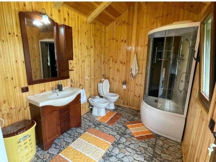 Отель Casa Prundari Nicu Si Mirela Poiana Teiului Номер фото