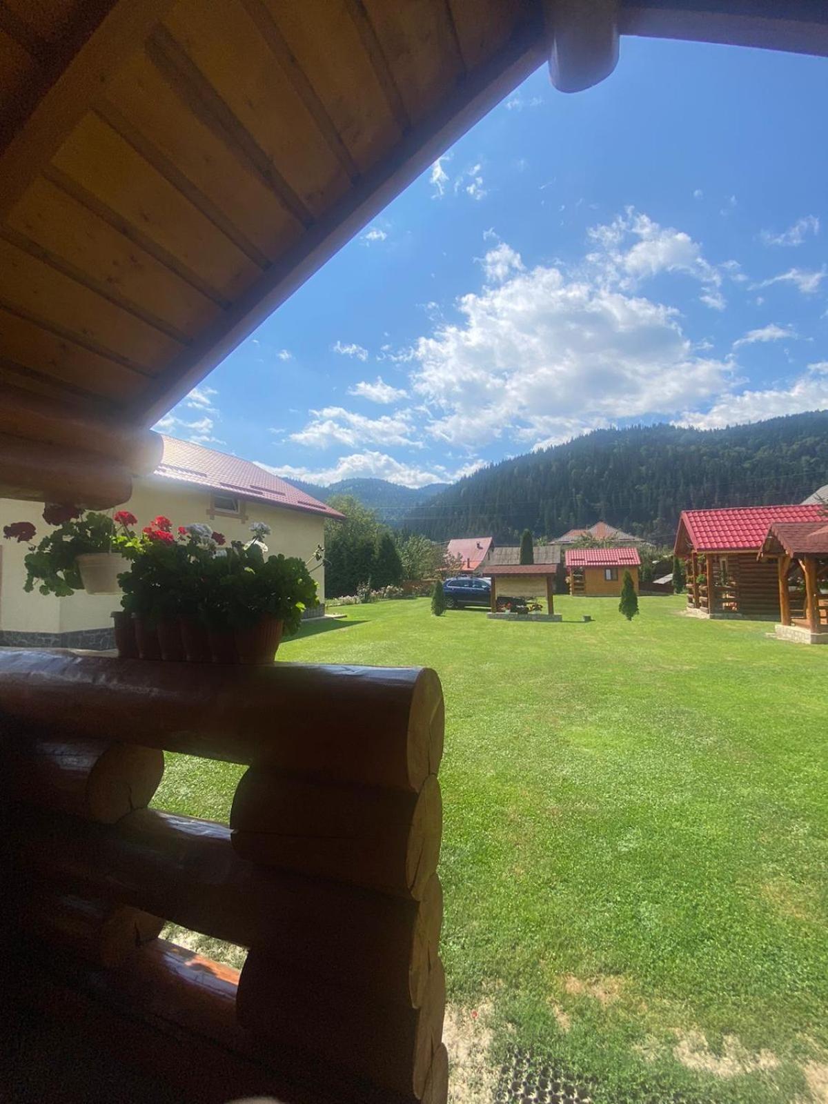 Отель Casa Prundari Nicu Si Mirela Poiana Teiului Экстерьер фото