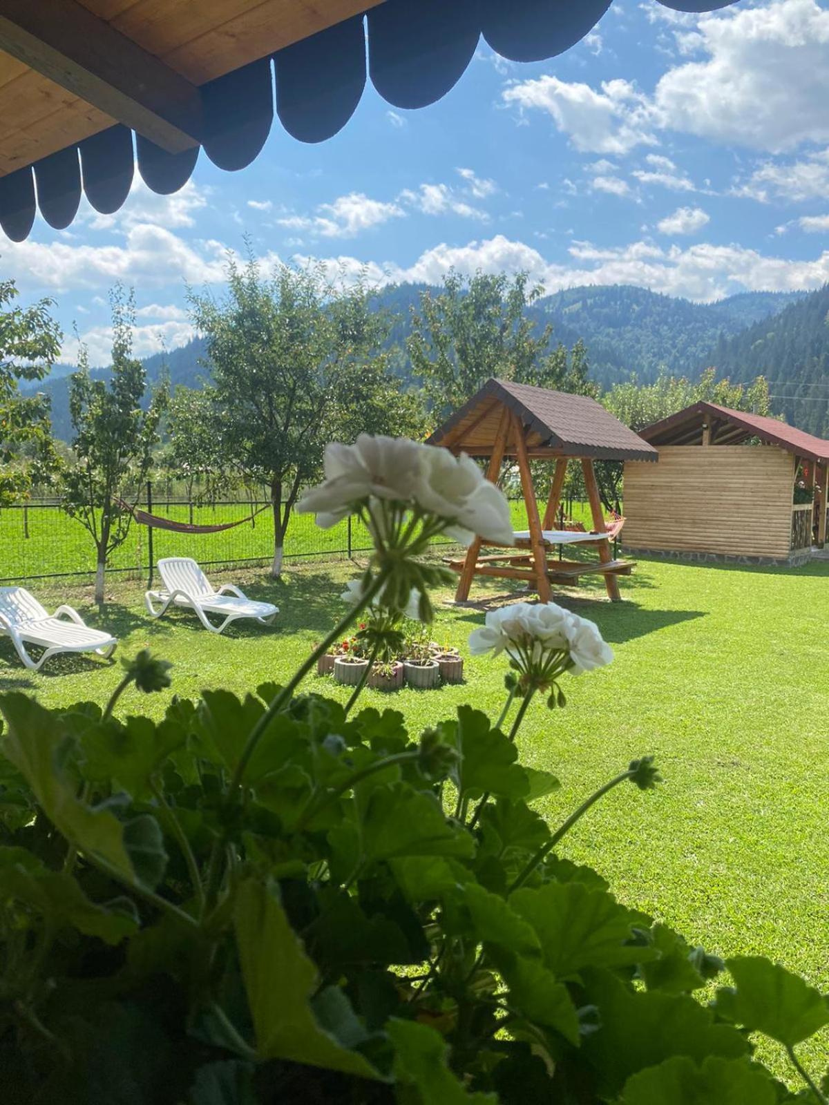 Отель Casa Prundari Nicu Si Mirela Poiana Teiului Экстерьер фото
